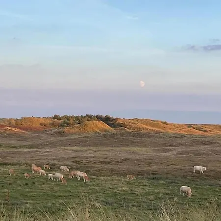 Feriehus Comfortable For 6 People,