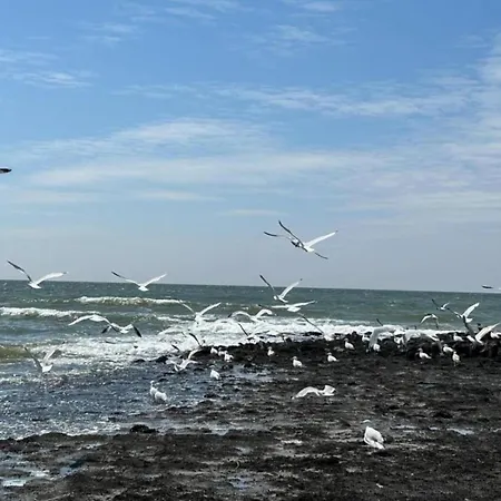 Comfortable For 6 People, Feriehus