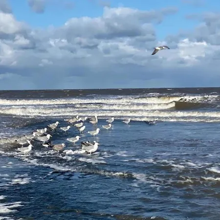 Comfortable For 6 People, Feriehus Sint Maartensvlotbrug