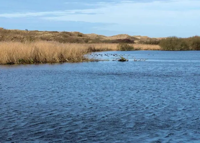 Comfortable For 6 People,