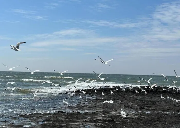 Comfortable For 6 People, Feriehus