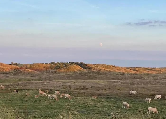 Feriehus Comfortable For 6 People,