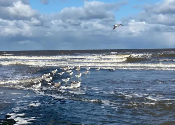 Comfortable For 6 People, Feriehus Sint Maartensvlotbrug