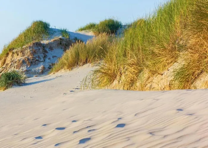 Feriehus Comfortable For 6 People, *