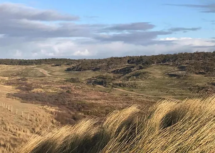 Comfortable For 6 People,